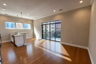 1002 W Van Buren St, Chicago, IL 60607 - Photo 6
