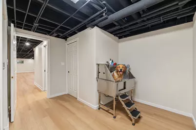 412 Bramble Lane, Deer Park, IL 60010 - Photo 36