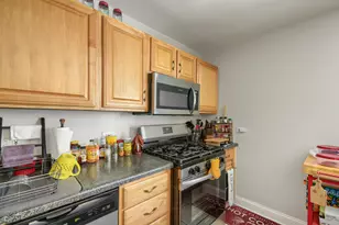 7133 N Damen Ave, Chicago, IL 60645 - Photo 8