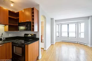 732 W Bittersweet Pl, Chicago, IL 60613 - Photo 4