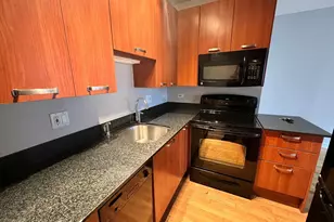 732 W Bittersweet Pl, Chicago, IL 60613 - Photo 2
