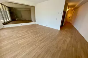 300 N State St, Chicago, IL 60654 - Photo 2