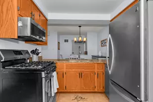 10521 S Roberts Rd, Palos Hills, IL 60465 - Photo 6