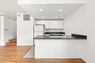 1730 W Terra Cotta Pl, Chicago, IL 60614 - Photo 6