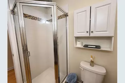 1028 W 20th Place #1, Chicago, IL 60608 - Photo 10