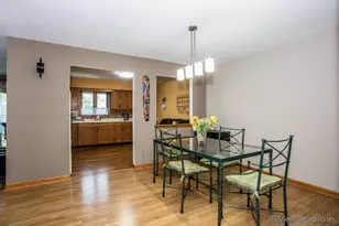 11015 S Theresa Circle, Palos Hills, IL 60465 - Photo 6