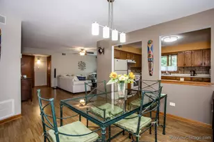 11015 S Theresa Circle, Palos Hills, IL 60465 - Photo 8