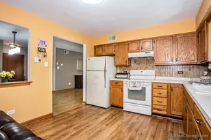 11015 S Theresa Circle, Palos Hills, IL 60465 - Photo 10