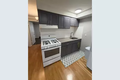 119 Cliff Street #2w, Willow Springs, IL 60480 - Photo 2