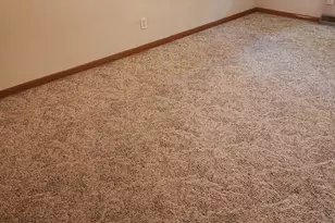 2503 Hacker Dr, Joliet, IL 60435 - Photo 22