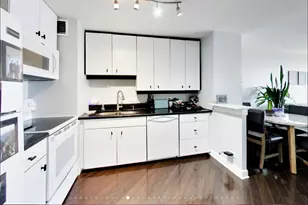 1636 N Wells St, Chicago, IL 60614 - Photo 10