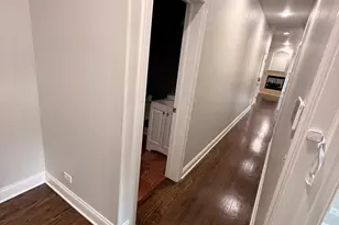 3862 S Lake Park Ave, Chicago, IL 60653 - Photo 10