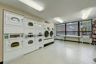 400 E Ohio St, Chicago, IL 60611 - Photo 48