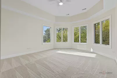 22904 N Ridgewood Lane, Kildeer, IL 60047 - Photo 28