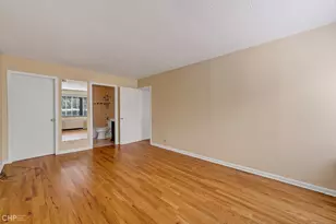 1115 S Plymouth Ct, Chicago, IL 60605 - Photo 24