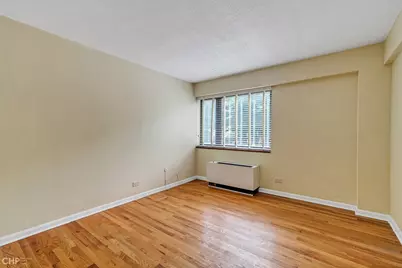 1115 S Plymouth Court #113, Chicago, IL 60605 - Photo 20