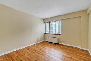 1115 S Plymouth Ct, Chicago, IL 60605 - Photo 20