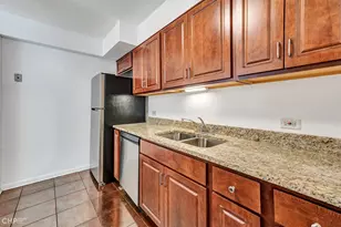 1115 S Plymouth Ct, Chicago, IL 60605 - Photo 12