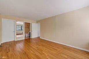 1115 S Plymouth Ct, Chicago, IL 60605 - Photo 34
