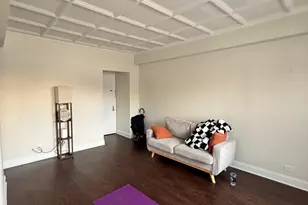 1211 N Lasalle St, Chicago, IL 60610 - Photo 2