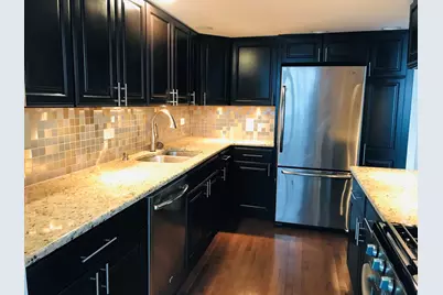 40 E Cedar Street #11C, Chicago, IL 60611 - Photo 6