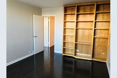 40 E Cedar Street #11C, Chicago, IL 60611 - Photo 10