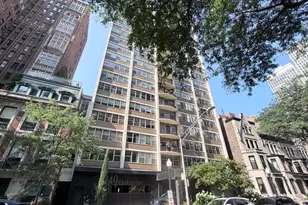 40 E Cedar St, Chicago, IL 60611 - Photo 1
