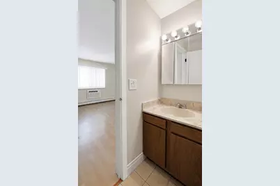 8701 W Foster Avenue #307, Chicago, IL 60656 - Photo 32