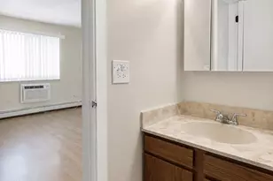 8701 W Foster Ave, Chicago, IL 60656 - Photo 32