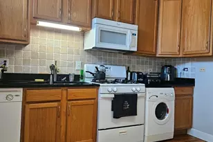 7213 S Yates Blvd, Chicago, IL 60649 - Photo 4