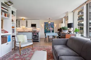 1455 N Sandburg Terrace, Chicago, IL 60610 - Photo 10