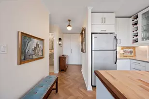 1455 N Sandburg Terrace, Chicago, IL 60610 - Photo 16