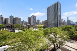 1455 N Sandburg Terrace, Chicago, IL 60610 - Photo 24