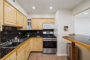 929 S Oak Park Ave, Oak Park, IL 60304 - Photo 8