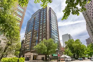 21 W Goethe St, Chicago, IL 60610 - Photo 1