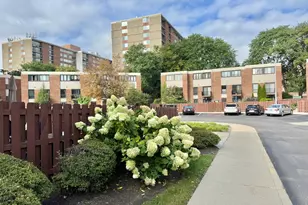 816 S Laflin St, Chicago, IL 60607 - Photo 26