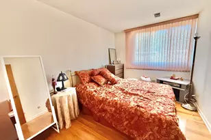 816 S Laflin St, Chicago, IL 60607 - Photo 16