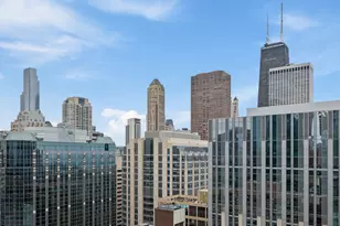 600 N Fairbanks Ct, Chicago, IL 60611 - Photo 14