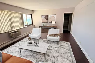 7337 S South Shore Dr, Chicago, IL 60649 - Photo 16