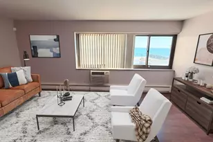 7337 S South Shore Dr, Chicago, IL 60649 - Photo 18