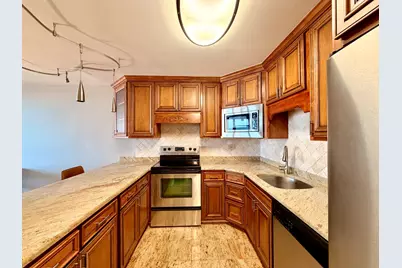 1560 N Sandburg Terrace #2110J, Chicago, IL 60610 - Photo 6