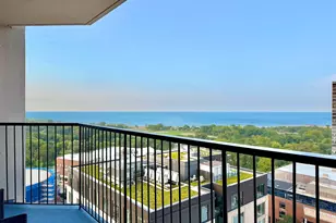 1560 N Sandburg Terrace, Chicago, IL 60610 - Photo 10
