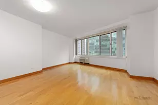 211 E Ohio St, Chicago, IL 60611 - Photo 10
