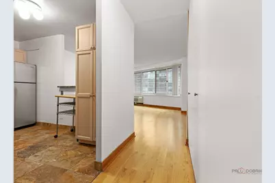 211 E Ohio Street #2015, Chicago, IL 60611 - Photo 8