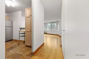 211 E Ohio St, Chicago, IL 60611 - Photo 8