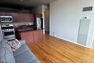1720 S Michigan Ave, Chicago, IL 60616 - Photo 10