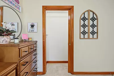 308 Sheldon Avenue, Downers Grove, IL 60515 - Photo 20