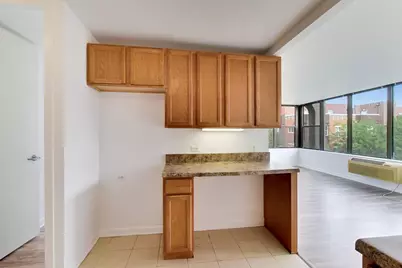 345 E Eastgate Place #302, Chicago, IL 60616 - Photo 12