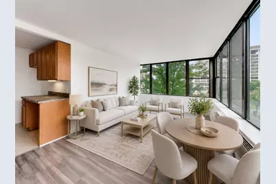 345 E Eastgate Place #302, Chicago, IL 60616 - Photo 4