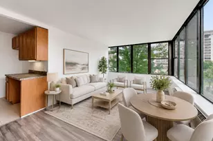 345 E Eastgate Pl, Chicago, IL 60616 - Photo 4